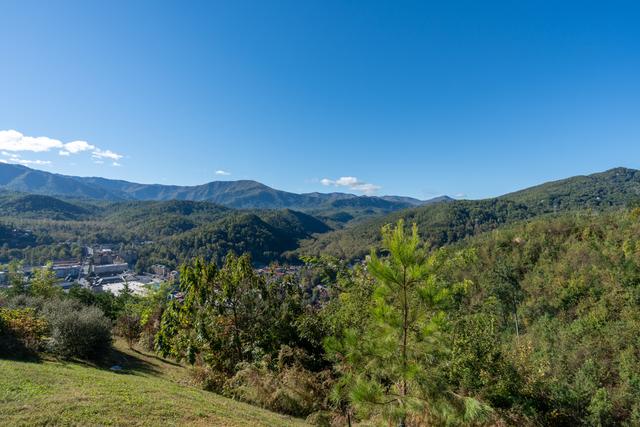 Taken at Venus 151 in Downtown Gatlinburg TN