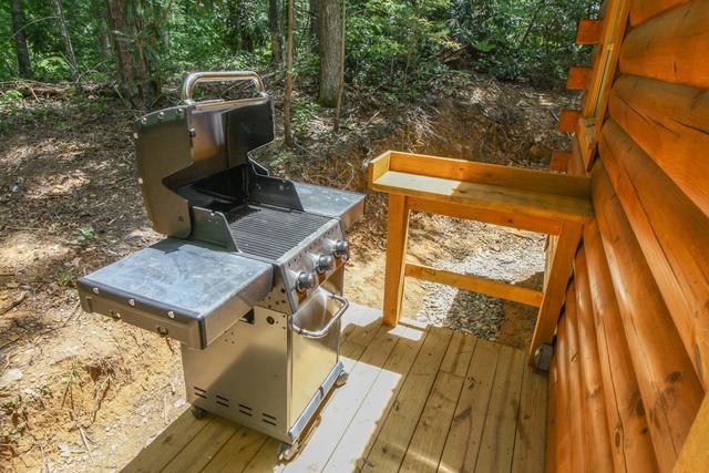 Taken at Black Bear Retreat in Near Rocky Top Sports World TN