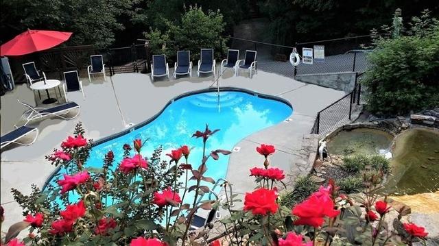 Taken at 210 Cubs in the Treetops in Phase II TN