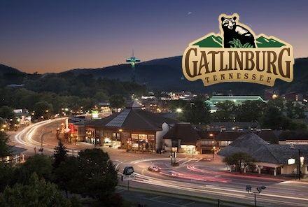 Taken at 210 Cubs in the Treetops in Phase II TN