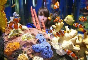 Taken at Black Bear Retreat in Near Rocky Top Sports World TN