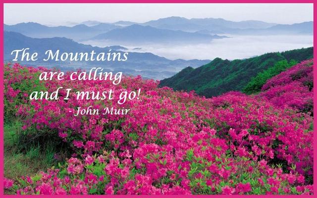 Taken at 210 Cubs in the Treetops in Phase II TN