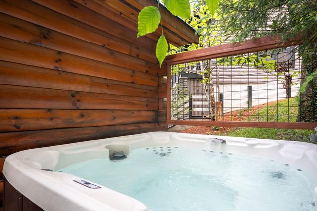 Taken at Black Bear Retreat in Near Rocky Top Sports World TN