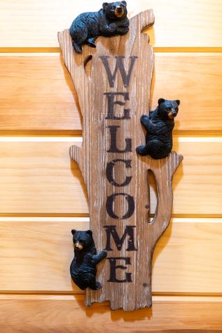 Taken at Black Bear Retreat in Near Rocky Top Sports World TN