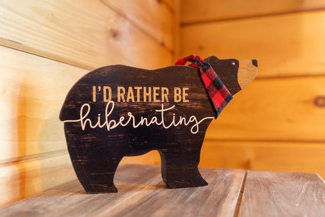 Taken at Black Bear Retreat in Near Rocky Top Sports World TN