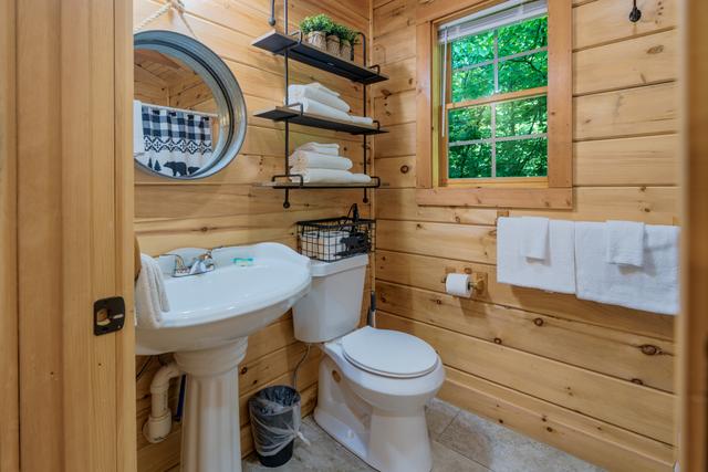 Taken at Black Bear Retreat in Near Rocky Top Sports World TN