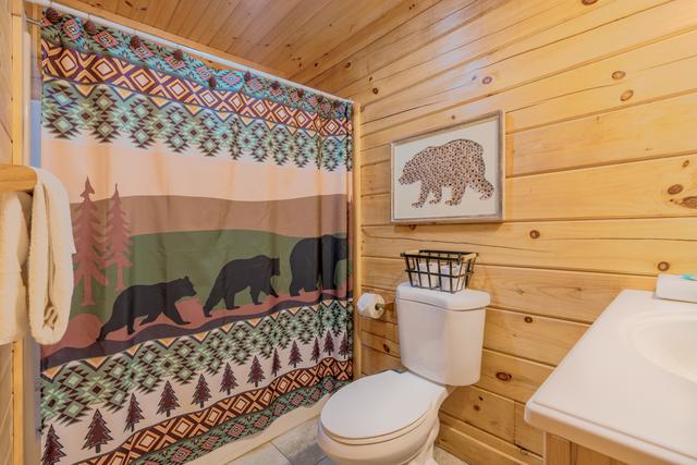 Taken at Black Bear Retreat in Near Rocky Top Sports World TN