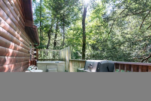 Taken at 210 Cubs in the Treetops in Phase II TN