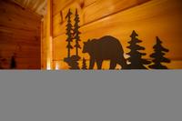 Taken at 210 Cubs in the Treetops in Phase II TN