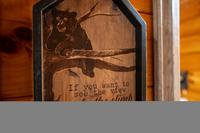 Taken at 210 Cubs in the Treetops in Phase II TN