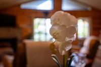 Taken at Bear Dance in Gatlinburg TN