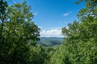 Taken at Bear Dance in Gatlinburg TN