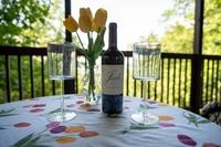 Taken at Bear Dance in Gatlinburg TN