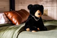 Taken at The Luxe in Gatlinburg TN