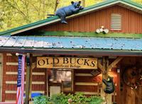 Taken at Old Bucks Riverfront Refuge in Gatlinburg TN