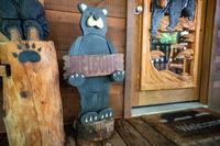 Taken at Cozy Bear in Gatlinburg TN