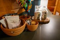 Taken at Cozy Bear in Gatlinburg TN