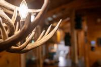 Taken at Cozy Bear in Gatlinburg TN