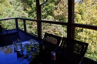 Taken at Vixen Run in Gatlinburg TN