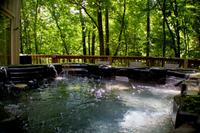 Taken at Scenic Solitude in Cobbly Nob area of Gatlinburg TN