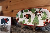 Taken at Black Bear Retreat in Near Rocky Top Sports World TN