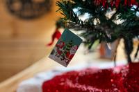 Taken at Black Bear Retreat in Near Rocky Top Sports World TN