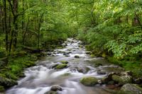 Taken at Black Bear Retreat in Phase II TN