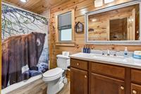 Taken at Cubs in the Treetops in Phase II TN