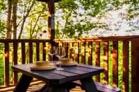 Taken at Blue Sage Hideaway in Gatlinburg TN