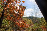 Taken at 37 Sugar House in Phase I TN