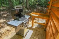 Taken at Black Bear Retreat in Near Rocky Top Sports World TN