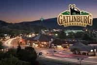 Taken at 210 Cubs in the Treetops in Phase II TN