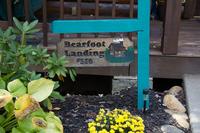 Taken at 26 Bearfoot Landing in Phase I TN