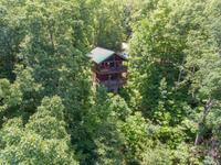 Taken at Bear Dance in Gatlinburg TN