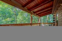 Taken at 210 Cubs in the Treetops in Phase II TN