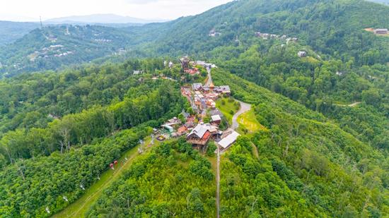 Photo of Holly Ridge 103