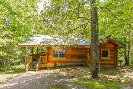 Photo of Walden Lodge Cabin 11