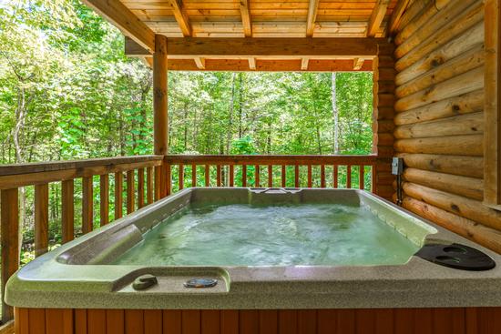 Photo of Walden Lodge Cabin 11