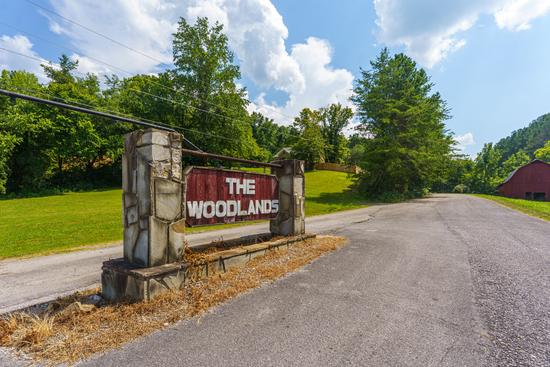 Photo of Woodlands