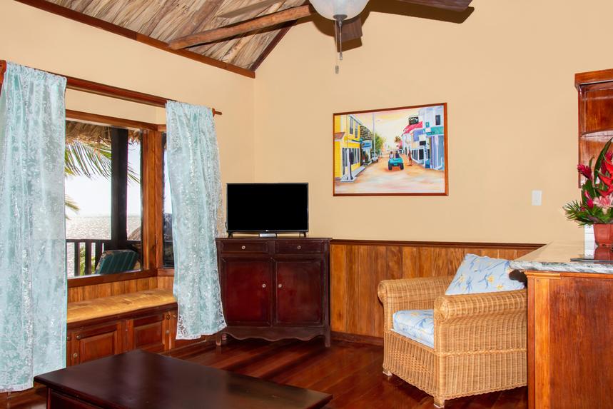 Living Room / Lounge