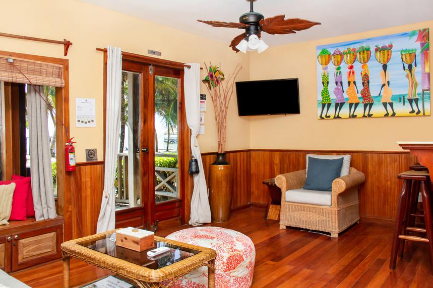Living Room / Lounge