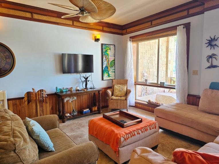 Living Room / Lounge