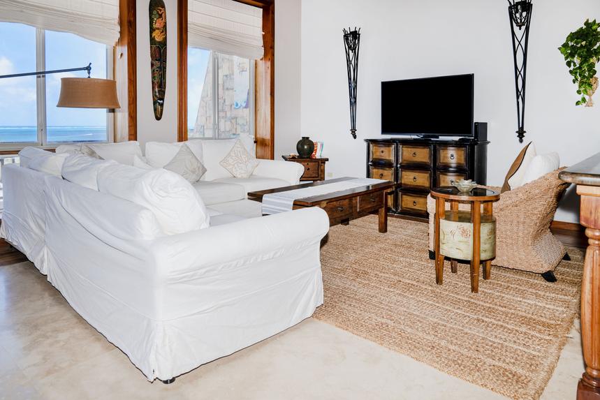 Living Room / Lounge