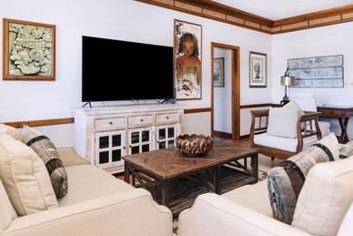 Living Room / Lounge