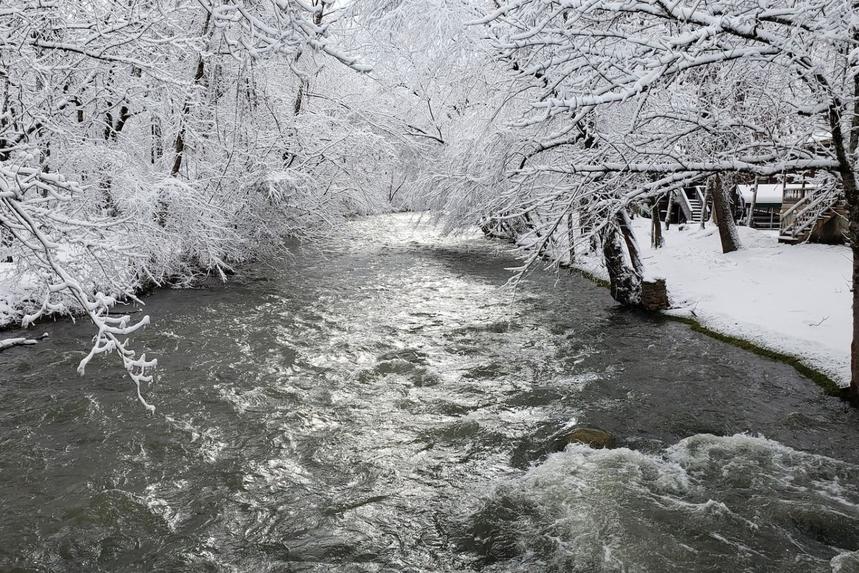 Laura Bell on Cosby Creek East Tennessee