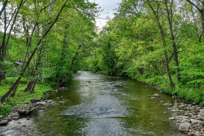 Laura Bell on Cosby Creek East Tennessee