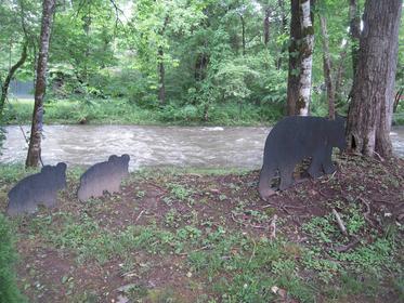 Laura Bell on Cosby Creek East Tennessee