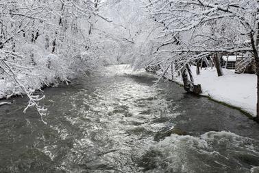 Laura Bell on Cosby Creek East Tennessee
