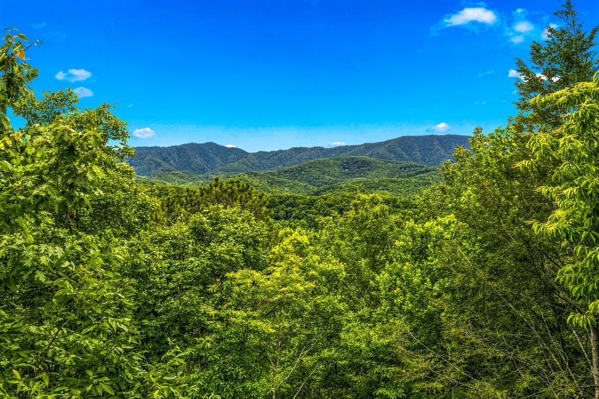 Alexander's Lookout