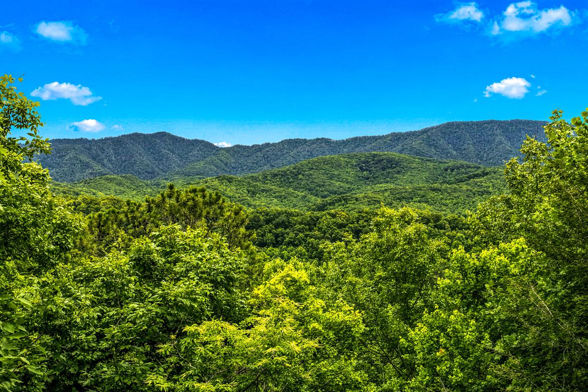 Alexander's Lookout